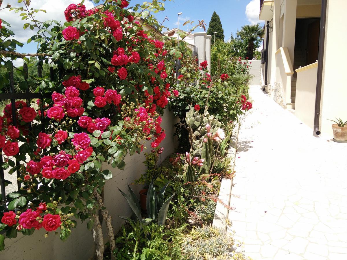 B&B Green Da Maria Matera Exterior foto